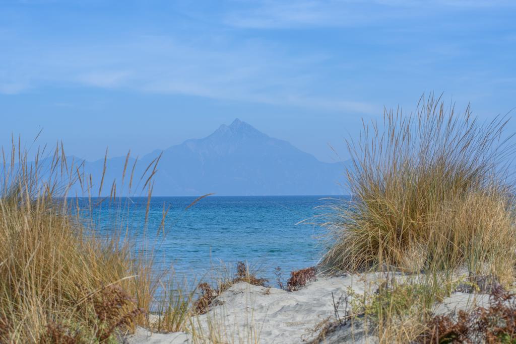 Erifili At Sarti Beach Apartments & Studios 外观 照片